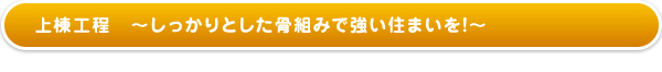 上棟工程〜しっかりとした骨組みで強い住まいを!〜